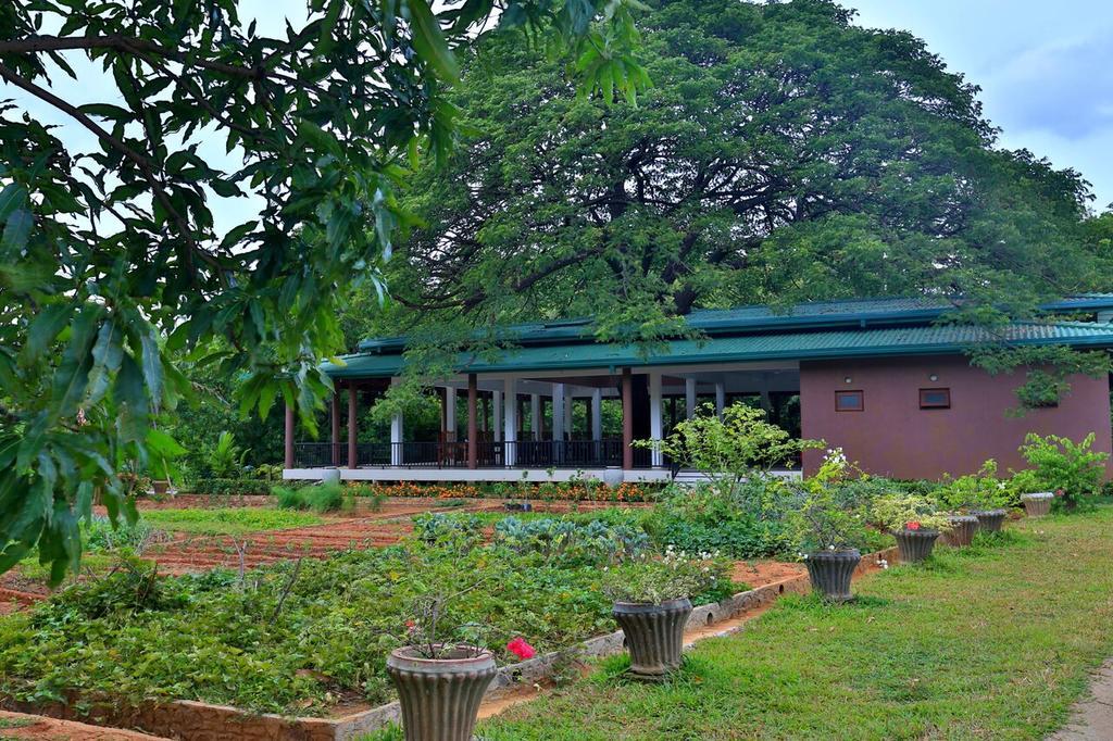 Grand & Gangula Hotel Dambulla Luaran gambar