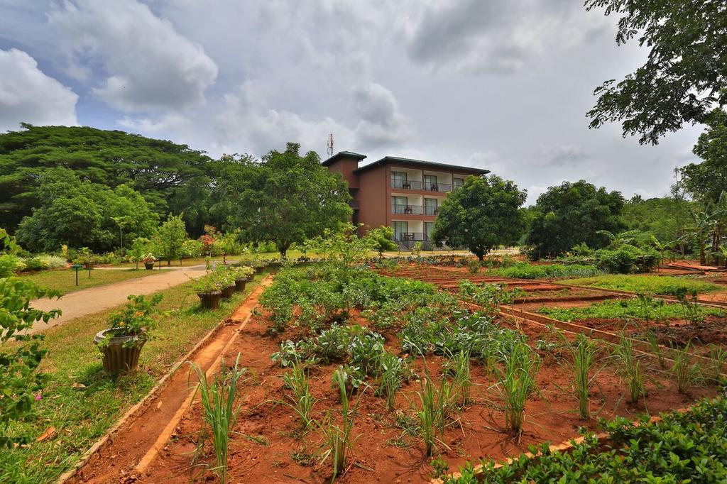 Grand & Gangula Hotel Dambulla Luaran gambar