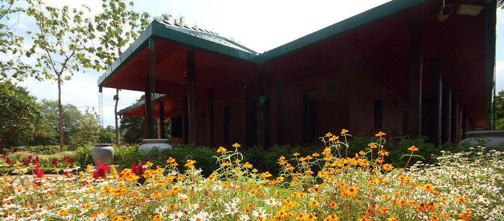 Grand & Gangula Hotel Dambulla Luaran gambar