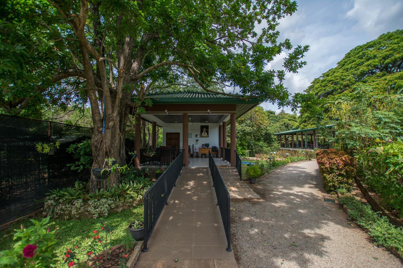 Grand & Gangula Hotel Dambulla Luaran gambar