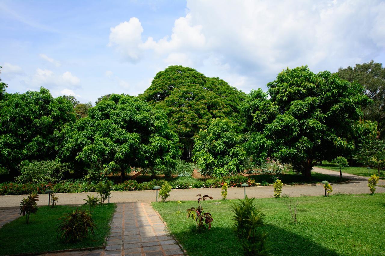 Grand & Gangula Hotel Dambulla Luaran gambar