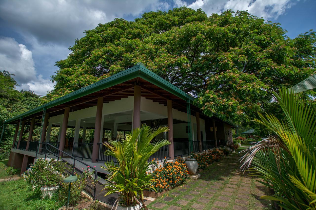 Grand & Gangula Hotel Dambulla Luaran gambar