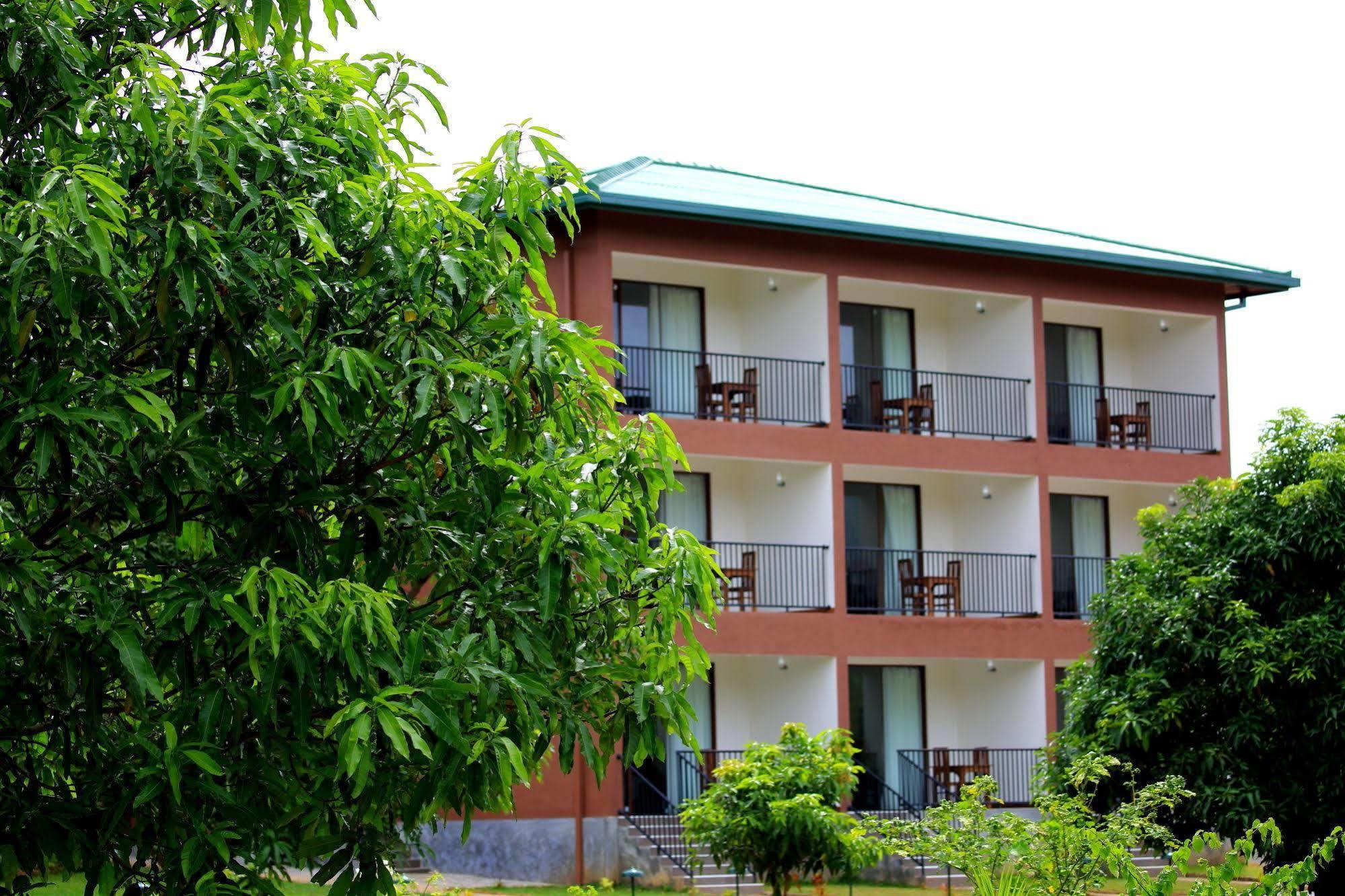 Grand & Gangula Hotel Dambulla Luaran gambar