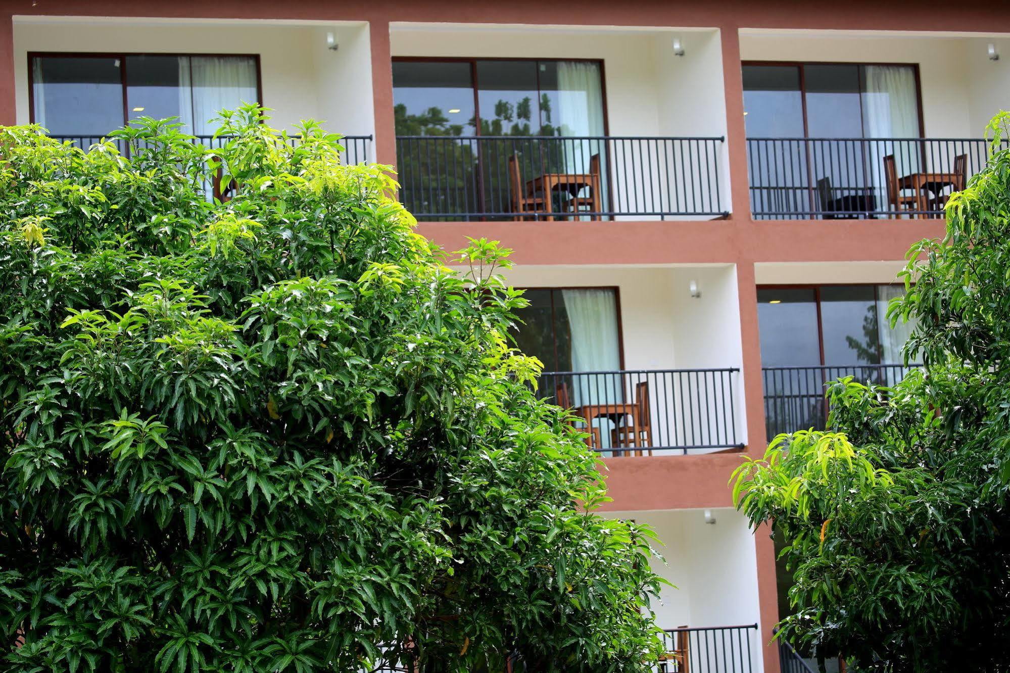 Grand & Gangula Hotel Dambulla Luaran gambar