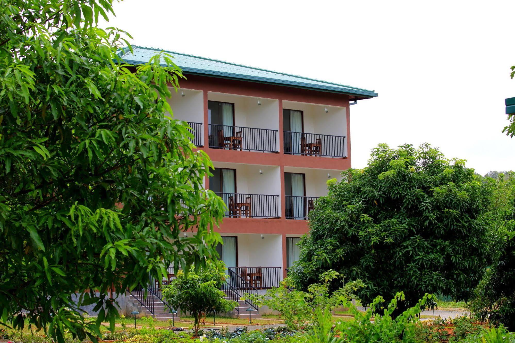 Grand & Gangula Hotel Dambulla Luaran gambar