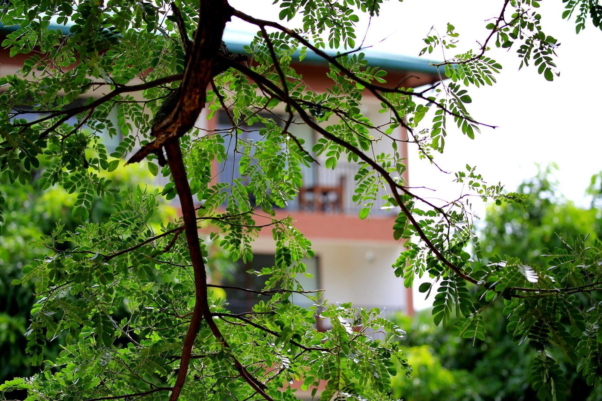Grand & Gangula Hotel Dambulla Luaran gambar