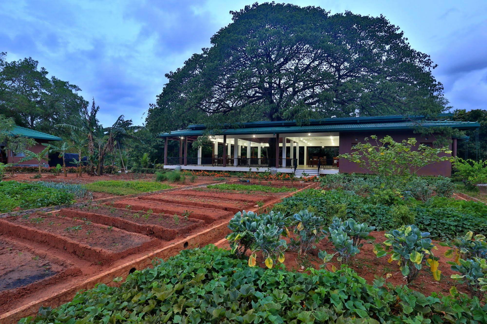 Grand & Gangula Hotel Dambulla Luaran gambar
